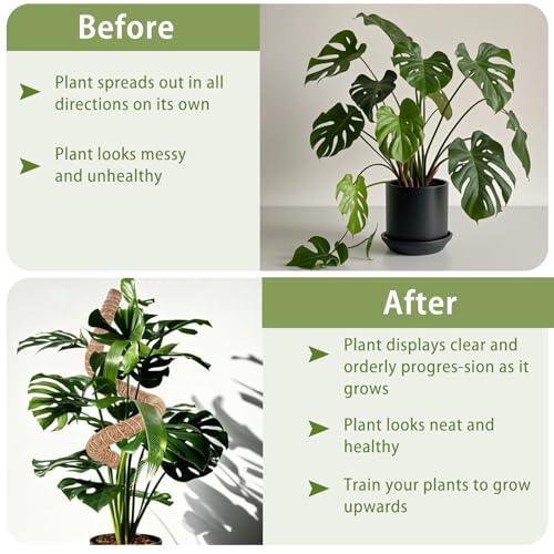 2 Pack Moss Pole, 28 Inch Monstera Plant Support, Moss Poles for Climbing Indoor Plants, Bendable Coco Coir Plant Support Stakes for Potted Plants, Pothos, Philodendron - size: 28 Inch - 2 Packs