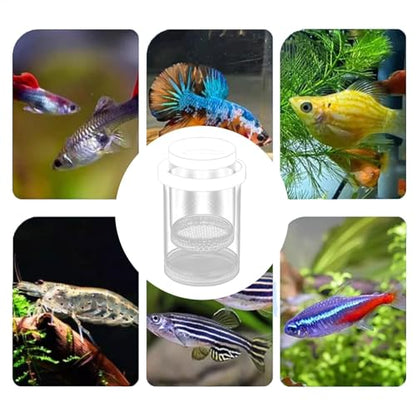 3 Pack Floating Fish Isolation Box for Aquarium Tank, Floating Breeder Hatching Box Clear Hatchery Incubator for Baby Fish Betta Guppy Clownfishes