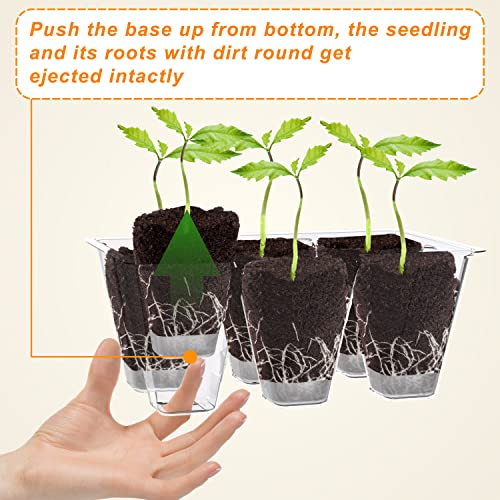Gardzen 10 Pack Push-Up Seed Starting Tray, Pop Up Plant Germination Trays, Seed Starter Kit with Adjustable Humidity Vented Dome, 6.6" x 4.5", Total 120-Cell, Clear | Pop Up Plant Germination Kit with Adjustable Humidity Dome, 6.6"x4.5" Trays for Seedlin