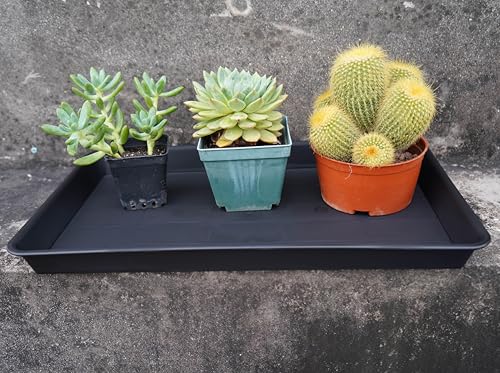 VUWEZ Plant Growing Trays 2 Pack, Plant Tray, 14.5"x11", Heavy Sturdy Plastic Plants Saucer, Seedling Starter Trays, Seed Starter Growing Tray (Black) - color: Black, size: 14.5'' x 11'' x 1.5'' (2 pack)