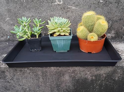 VUWEZ Plant Growing Trays 2 Pack, Plant Tray, 14.5"x11", Heavy Sturdy Plastic Plants Saucer, Seedling Starter Trays, Seed Starter Growing Tray (Black) - color: Black, size: 14.5'' x 11'' x 1.5'' (2 pack)