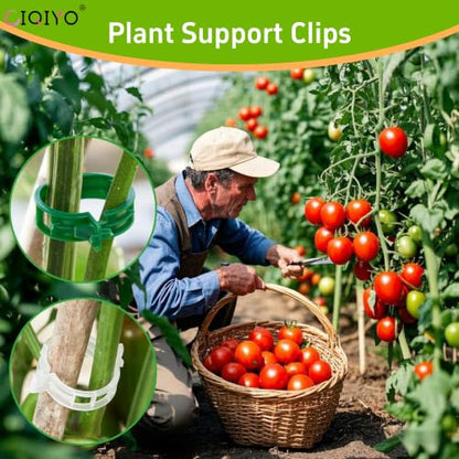CIQIYO® 200 Pcs Plant Support Clips,Plastic Clips for Securing Plants,Tomato Vine Clips,Plant Fixing Clips,Garden Clips for Climbing Plants,Grape and Vine Vegetables (200, Green) - color: Green