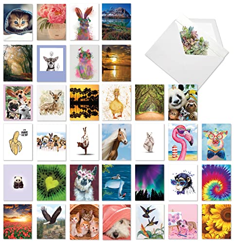 The Best Card Company - 36 Assorted Blank Notecards Bulk Box Set 4 x 5.12 Inch with Envelopes (36 Designs, 1 Each) engaging Friendship, Note Card Variety Pack - Many Smiles AM7754OCB-B1x36 - style: Many Smiles