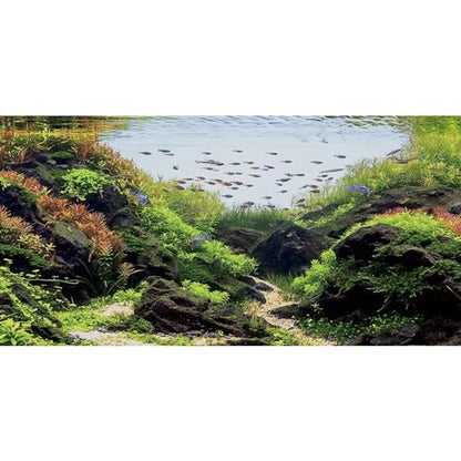 AWERT 36x20 inches Stone Aquarium Background Aquatic Plant River Bed & Lake Fish Tank Background Seaweed Fish Tank Background Vinyl Background - size: 36x20in/90x50cm