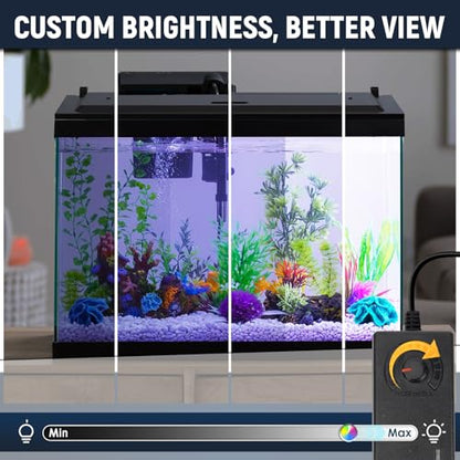 LED Aquarium Hood, Fish Tank Cover with Adjustable-Brightness Colored Light Tubes, Replaceable Full-Length Bulb, Fits 24-Inch Framed Aquariums, Black
