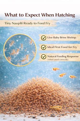 Premium Brine Shrimp Eggs – High Hatch Rate Artemia Cysts for Fish Fry, Reef & Aquarium Fish – Clean, Reliable Live Fish Food (0.7oz)