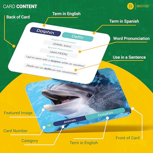 Briston Spanish Vocabulary Flash Cards – 600 English to Spanish Flashcards with Example Sentences & Pronunciations – Language Learning Cards for Kids & Adults, Classroom, Homeschool Study Set