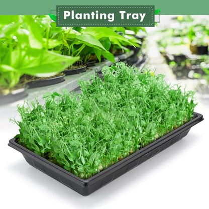 Sckee Upgraded 5 Pack Plant Growing Trays Seed Starting Tray Microgreens Growing Trays Seedling Plant Germination Starter Tray Transplant Fodder Flats, No Holes, No Leakage, Reusable (1017) - size: 1017