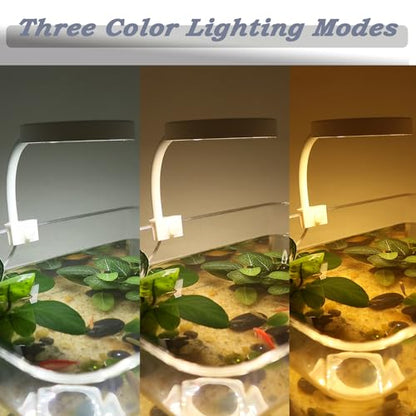 Upgraded Aquarium Light with Timer Clip On Fish Tank LED Light Small USB Light Dimmer Multi-Color White+Warm Yellow+Yellow 1 to 5 Gal (Adapter NOT Included) - size: White-Dimmer+Timer