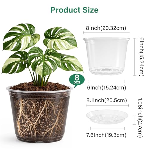 Bluepro Clear Nursery Pots with Saucers, 8 Inch, 8-Pack | Clear PET, Drainage Holes, Root and Moisture Visibility, Flexible, Reusable, Indoor/Outdoor Use, Propagation and Repotting - size: 8 Inch-8Pcs
