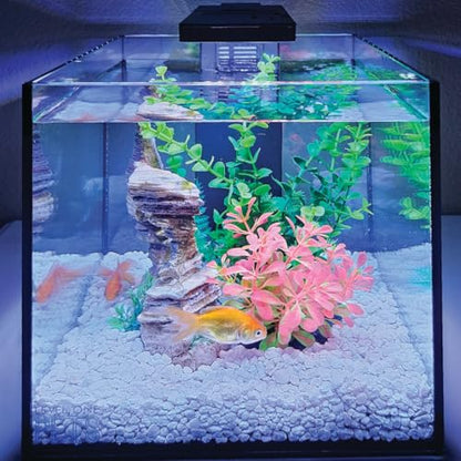 Level One Pets 3 Gallon Mini Betta, Small Fish Aquarium Kit - Includes Duo 2 in 1 Submersible Filter with LED Light - size: 3 Gallon Aquarium Kit - Includes Filter with Light