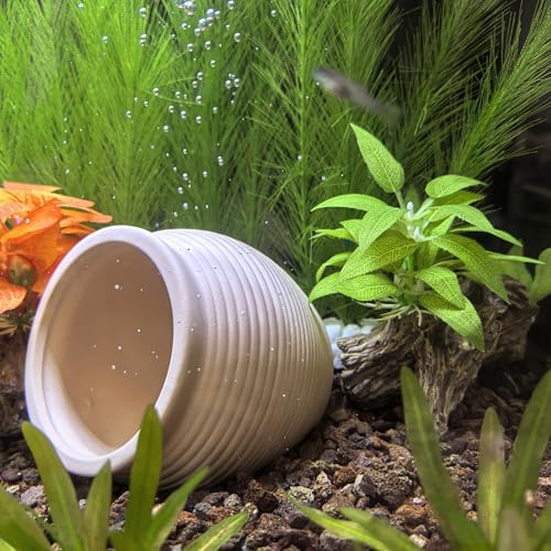 Ceramic Jar Natural Clay Vase Fish Shrimp Hide Breed Habitat (Creamy 2pcs) | natural ceramic non-toxic, promote health vitality, sense of security and comfort - color: Creamy Clay, 2pcs