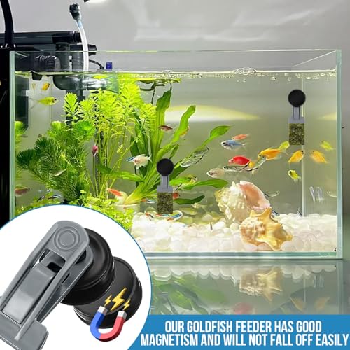 2Pcs Goldfish Feeder, Saltwater Aquarium Accessories Supplies Algae Magnet Seaweed Feeder Aquarium Magnetic Clips, Fish Tank Feeding Ring Suitable for Aquatic Pets - color: 2Pcs