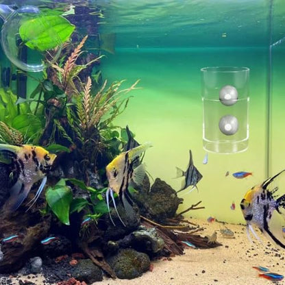 HEMOTON Fish Feeding Cup with Suction Cups Aquarium Feeding Ring Fish Food Holder Tube Round Sinking Feeder Tool Suitable for Aquarium Supplies
