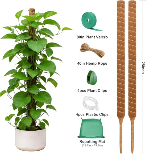 Numola 2 Pack Moss Pole Monstera Plant Support Stakes for Indoor Plants, 28 Inch Bendable Coir Trellis Plant Stick Support for Potted Climbers to Grow Upwards, Vines Traction Clips with Repotting Mat