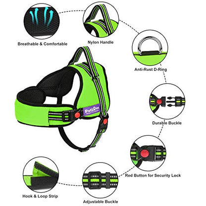 PetLove Dog Harness, Adjustable Soft Leash Padded No Pull Dog Harness for Small Medium Large Dogs, Green - color: Green, size: XXS