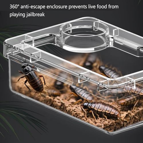Anti-Escape Crested Gecko Food Dish, Transparent Chameleon Feeding Bowl, Acrylic Reptile Amphibian Habitat Feeders, Pet Supplies, for Tortoise Frog Snake Terrarium Lizard Spider - color: Blue