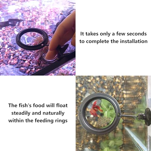 FREESEA Fish Feeding Ring for Aquarium: Round Floating Food Rings for Betta Turtle Tank - size: Round
