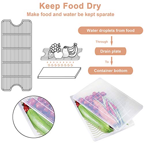 4PCS Food Storage Container, Plastic Food Containers Large | [With Removable Drain Plate and Lid], [Stackable Portable Freezer Storage Containers]-Tray to Keep Fruits, Vegetables, Meat - size: Large(4PCS)