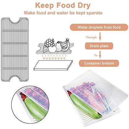 4PCS Food Storage Container, Plastic Food Containers Large | [With Removable Drain Plate and Lid], [Stackable Portable Freezer Storage Containers]-Tray to Keep Fruits, Vegetables, Meat - size: Large(4PCS)