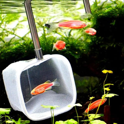 Green/Red Square Round Metal Aquarium Fish Net Mini Size Extendable Telescopic Fish Shrimp Landing Net Aquarium Fish Tank Tool - style: Green Square