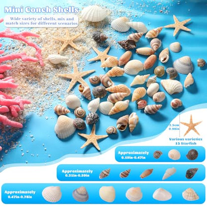 1200 Pcs Tiny Sea Shells, Seashells for Crafts with Small Shells Starfish Mixed Ocean Beach Spiral Seashells for Beach Party, Fish Tank and Vase Filler, Wedding Decor, Diy Jewelry Candle Making