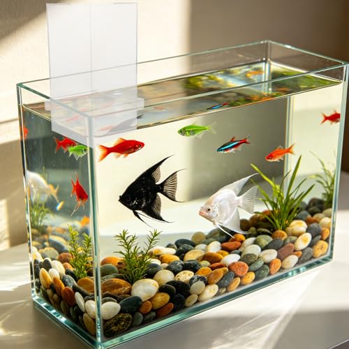 Fish Tank Elevator: Negative Pressure Tank for Fish Activity Area Increase, External Suspended Placement, Water Level Maintenance - size: 25.00X14.50X14.50CM
