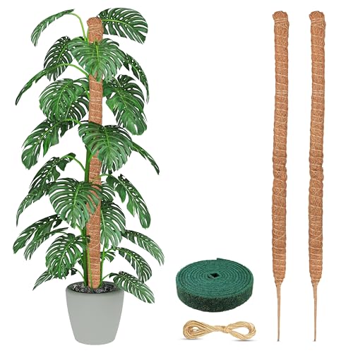 EcoNour Tall Moss Pole for Plants (2-Pack) 63-Inch | Large Monstera Plant Support for Climbing and Growth | Elevate Your Indoor Garden | Tall Plant Support for Indoor Potted Plants to Grow Upwards - size: 63 Inches - (2 PCS)