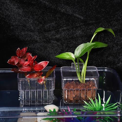 NOLITOY 4 Pack Aquarium Plant Cups Clear Acrylic Hanging Aquarium Plant Holder with Bottom Holes and Screw Fixture Fish Tank Pots for Live Plants Accessories