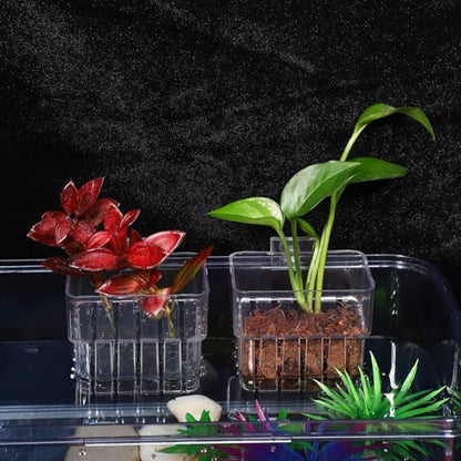 NOLITOY 4 Pack Aquarium Plant Cups Clear Acrylic Hanging Aquarium Plant Holder with Bottom Holes and Screw Fixture Fish Tank Pots for Live Plants Accessories