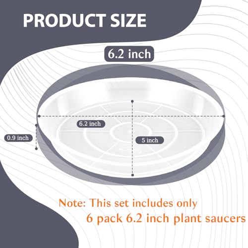 FUIJOL 6 Pack Clear Plant Saucer, Durable Plant Drip Trays Saucers for Pots, No Holes Water Catcher Trays for Indoor Outdoor Planter, Sturdy Base Plate (Clear, 6.2"-6Pack) - size: 6.2"-6Pack