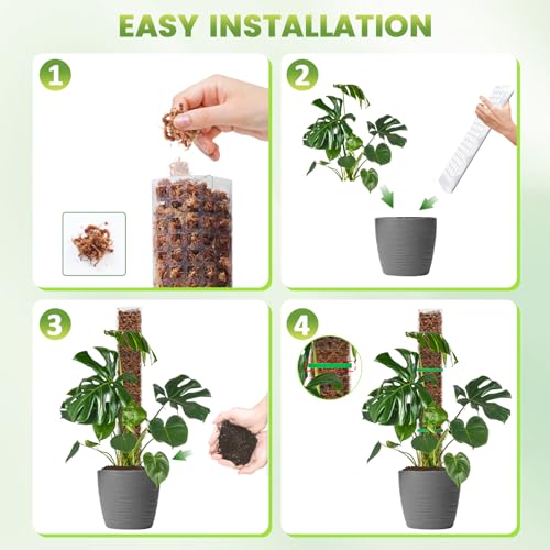 EOX 6 Pcs 24 Inch Plastic Moss Pole for Monstera, Large D Shaped Poles for Climbing Plants Work with Sphagnum Moss, 135 Inch Plant Stake Set of 6, Garden Ties - size: 6 PACK-24Inch-no moss included