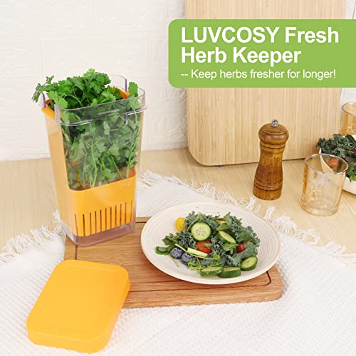 LUVCOSY 3 Pack Herb Keeper, BPA-Free Plastic Herb Saver with an Inner Basket for Cilantro, Mint, Parsley, and Asparagus, Keeps Fresh Herbs for 3 Times Longer - color: Herb Keeper - Green & Orange & Blue
