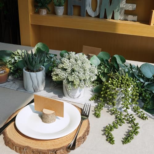 Winlyn Set of 3 Small Artificial Succulent Potted Plants Fake Aloe Hops String of Pearls in Modern Marble Ceramic Planter for Home Garden Bathroom Shelf Office Desk Tabletop Indoor Outdoor Décor
