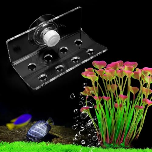Transparent Acrylic Corals Frag Rack 8 Holes with Suction Cup Fish Container Corals Support Bracket Aquarium Corals Holder for Saltwater Tank