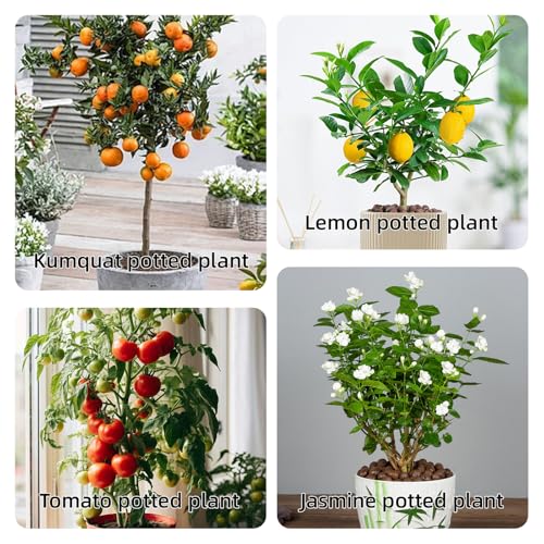 Stackable Monstera Plant Support Stakes,Stackable Indoor/Outdoor Support Pole with Clamps,Climbing Plant Support Structures Plant Holder Stick Moss Pole for Support Tall Potted Plants (set2)