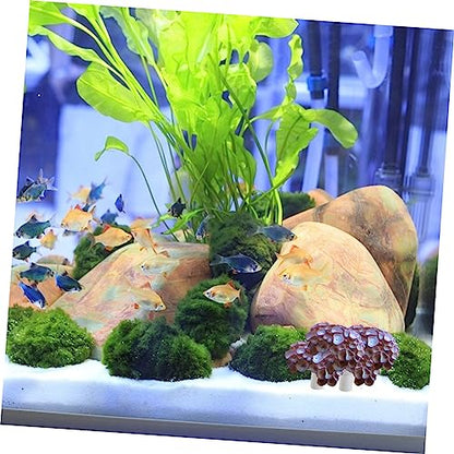 BESPORTBLE 10pcs Ceramic Breeding Base Plugs Coral Base Aquarium Plants Decor Supports