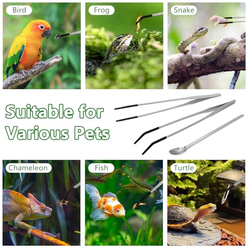 LIQALU 3 Pcs Long Aquarium Tweezers Reptile Feeding Tongs Tool for Lizards | Straight and Curved Tweezers-10.63", Spoon-8.54" Stainless Steel Feeding Tools, for Bearded Dragons, Snakes, Tank Accessories