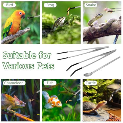 LIQALU 3 Pcs Long Aquarium Tweezers Reptile Feeding Tongs Tool for Lizards | Straight and Curved Tweezers-10.63", Spoon-8.54" Stainless Steel Feeding Tools, for Bearded Dragons, Snakes, Tank Accessories