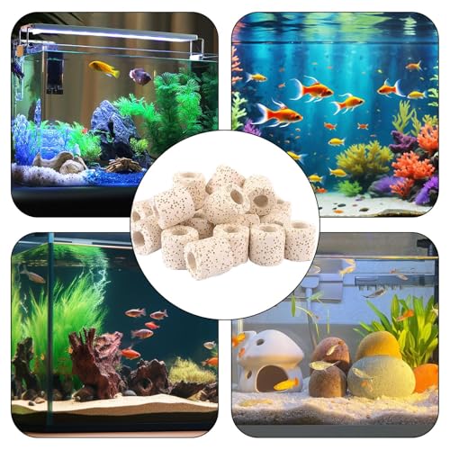 Under Water Plant Weights Biological Filter Media | Water Plant Cultivation Rings Purification Filter Ring for Turtle Tank, Fish Tank Accessories