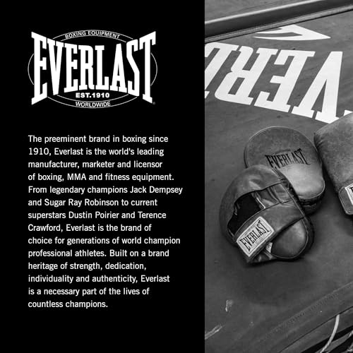 Everlast 1910 Leather Focus Mitts | Vintage Training Punching Mitts