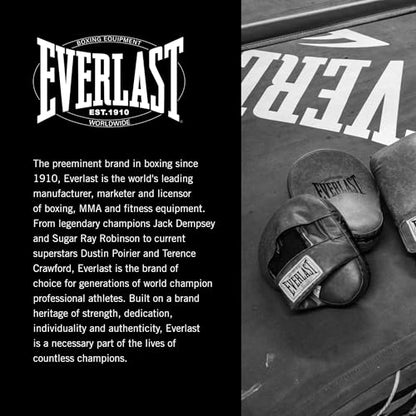 Everlast 1910 Leather Focus Mitts | Vintage Training Punching Mitts