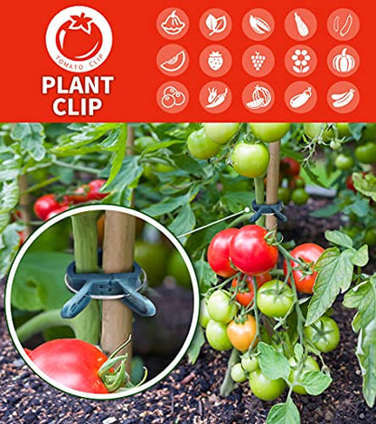 40 PCS Plant Clips Garden Clips for Tomato Cage, Tomatoes Clips Plant Support Clips for Bamboo Stakes, Climbing Plants, Vines, Gentle Plant & Flower Trellis Clips for Plant Stalks, Stems