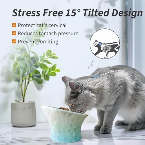 Cute Fish Shape Ceramic Elevated Cat Bowl for Food, 2-Pack | Shallow and Tilted Design, Whisker-friendly, Anti-vomiting, Non-slip base, Ideal for Wet Food, Kittens & Treats, Green & Blue