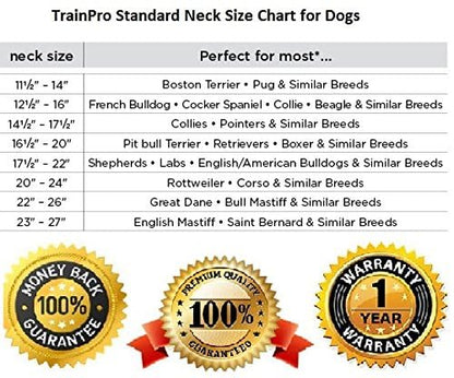 Waterproof TPU Replacement Strap for Dog Training Collar, 27.5 in - color: Blue