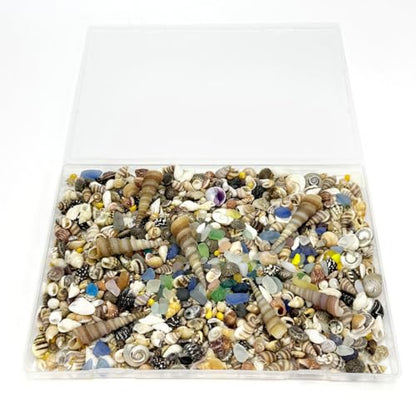 900 Pcs Sea Shells for Crafting,0.11-2.7in Mixed Mini Seashells with Sea Glass for Decorating,Small Shells for Craft,Beach Themed Party Wedding,Fish Tank Vase Filler (900pcs)