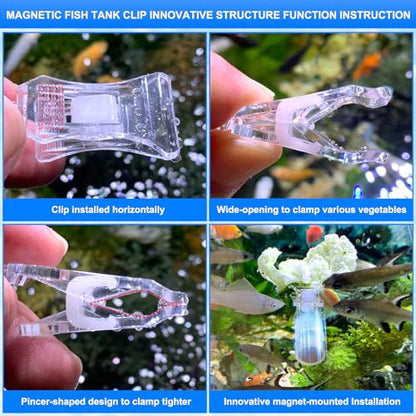 Magnetic Seaweed Fish Feeding Clip Saltwater Aquariums Magnet Veggie Feeder clamp Fish Accessories —Patented Product(4pcs Magnetic Veggie Clip) - size: 4pcs magnetic veggie clip