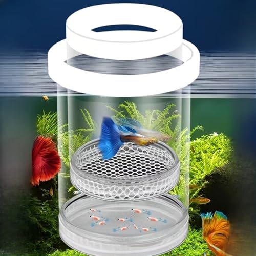 Aquarium Fish Tank Breeding Box, Floating Hatchery Isolation Cage with EVA Buoyancy Sponge Circle,Freely Adjustable Height Design,Large Size Rearing Container for Small Fish, Guppy - color: White, size: 5.6*3.6in