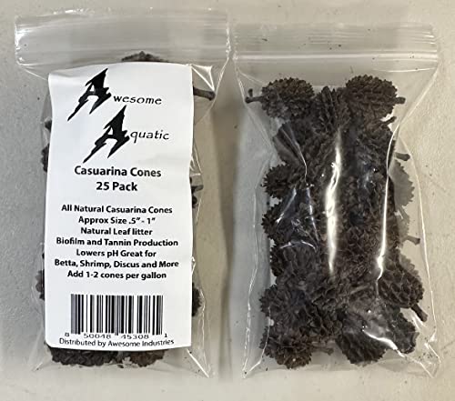 Awesome Aquatic 25 Casuarina Cones, Blackwater, Betta Shrimp Habitat | Larger than Alder Botanicals Natural tannins Blackwater habitat Leaf litter Longer lasting biofilm Natural décor Easy to use - size: 25 Pack Casuarina