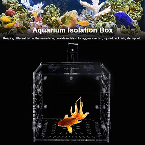 Fish Tank Breeding Box Aquarium Isolation Box High Transparency Adjustable Height Sturdy Acrylic Material for Fish Shrimp Isolation Transparent 15x15x15cm 30x15x15cm 20x20 (15CM*15CM*15CM)